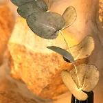 팜스테이 Agua E Agricultura Biologica