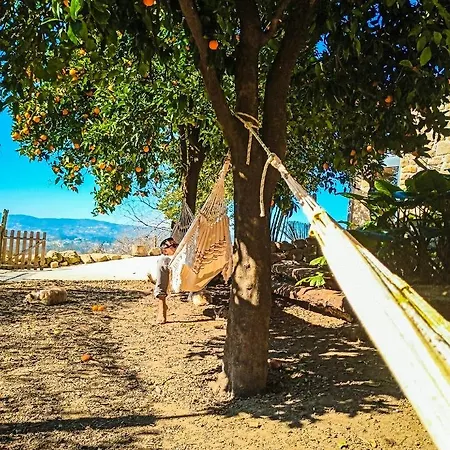 Agua E Agricultura Biologica * Couto (Viseu)