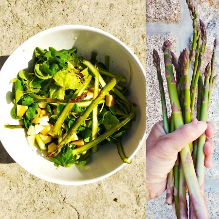 Agua E Agricultura Biologica Gospodarstwo agroturystyczne *