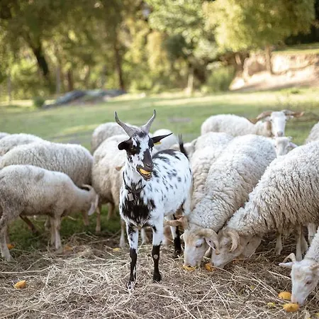Agua E Agricultura Biologica *