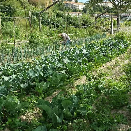 팜스테이 Agua E Agricultura Biologica Couto (Viseu)