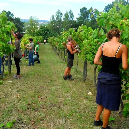 Agua E Agricultura Biologica * Couto (Viseu)