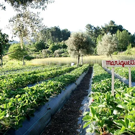 Agua E Agricultura Biologica Farm stay Couto