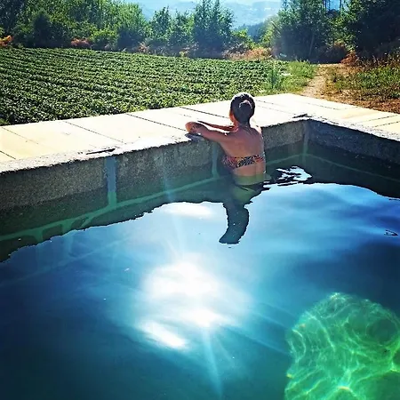 Agua E Agricultura Biologica * Couto (Viseu)