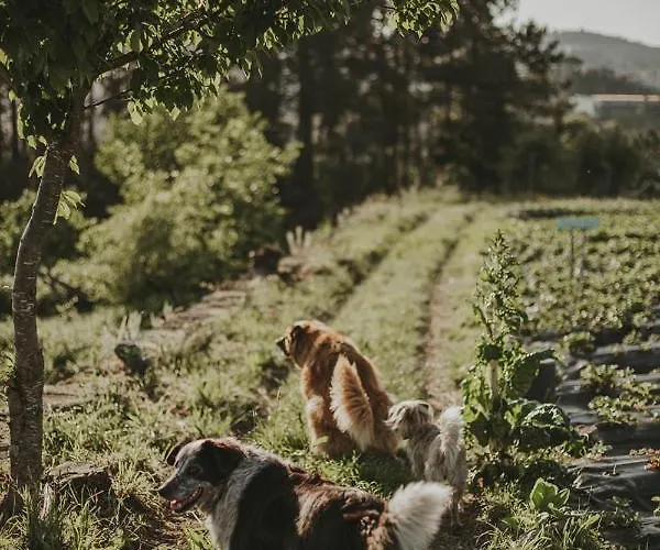 Agua E Agricultura Biologica Séjour à la ferme *
