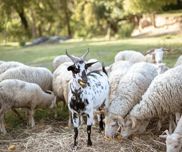 Agua E Agricultura Biologica *