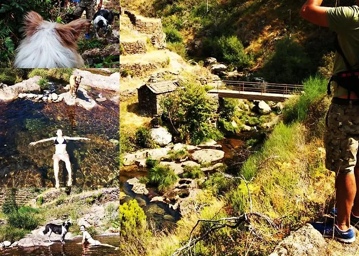 Séjour à la ferme Agua E Agricultura Biologica Couto (Viseu)
