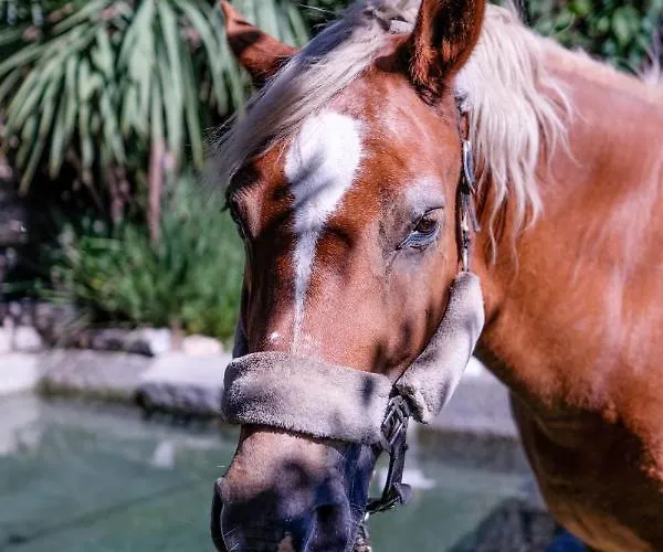Séjour à la ferme Agua E Agricultura Biologica